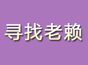 雁塔寻找老赖