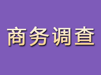 雁塔商务调查